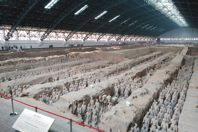 Private Tour: Terracotta Army Museum and Xi'an City Highlights - Muslim Quarter and a taste of everyday Xi’an