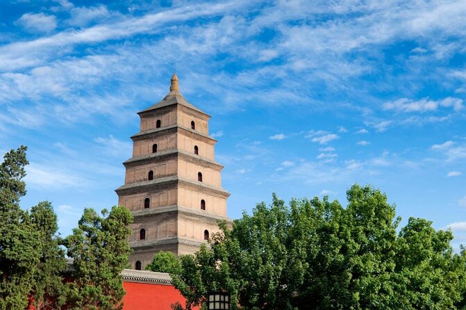 Private Tour:Terracotta Warriors,City Wall and Foodie Tour - A Xi’an food stop in the Muslim Quarter