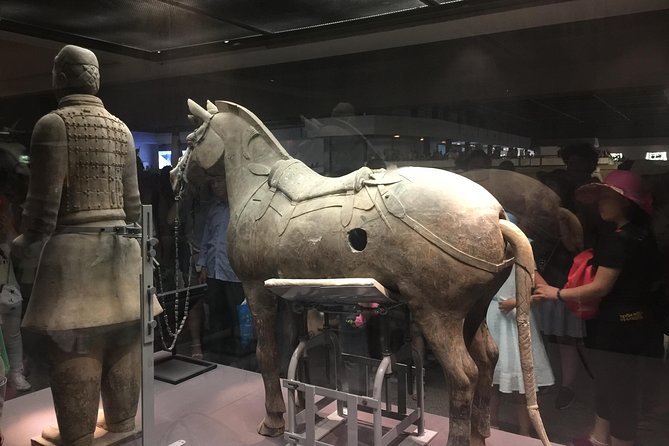 Private Tour: Terracotta Warriors& Foodie Tour and Seal Carving - What $220 per person really covers