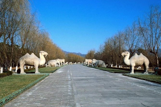 Private Tour to Mutianyu Great Wall and Ming Tombs - Choosing Between Changling and Dingling