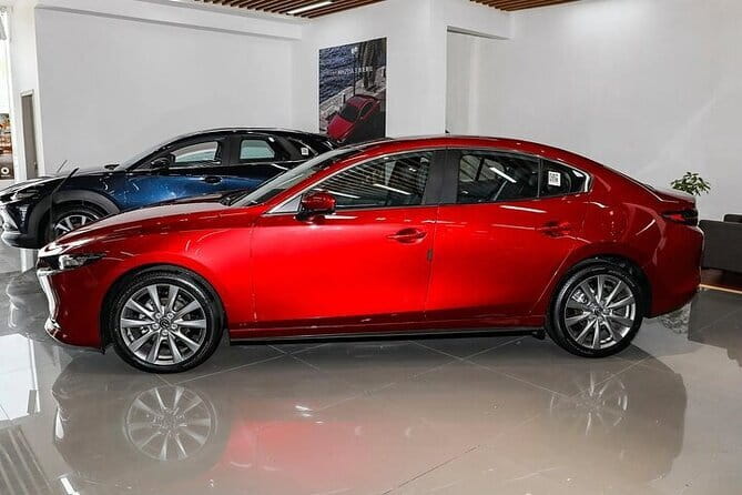 Private Transfer in Shenzhen with English Service - Port Transfers And City Rides