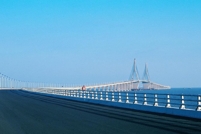 Private Transfer to Shanghai Donghai Bridge and Yangshan Port - Key points to know before booking