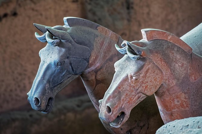 Private Xi'an Tour: Terracotta Warriors, Hanyangling Museum, Cave Homes - Is $175 per person good value?