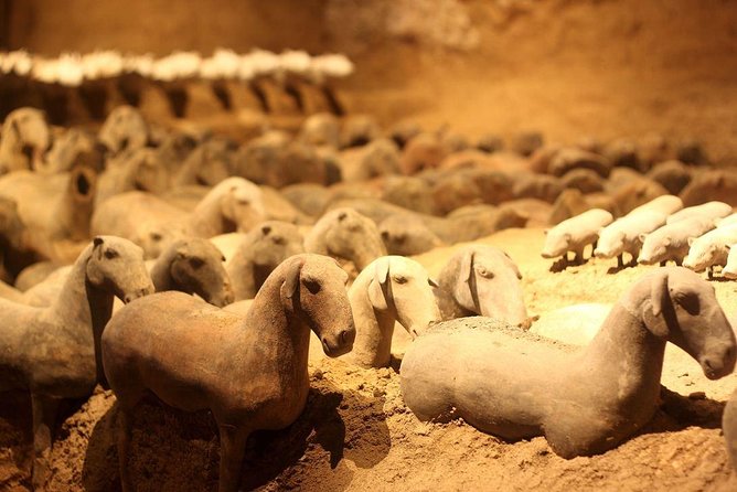 Private Xi'an Tour: Terracotta Warriors, Hanyangling Museum, Cave Homes - Three hours with the Terracotta Army