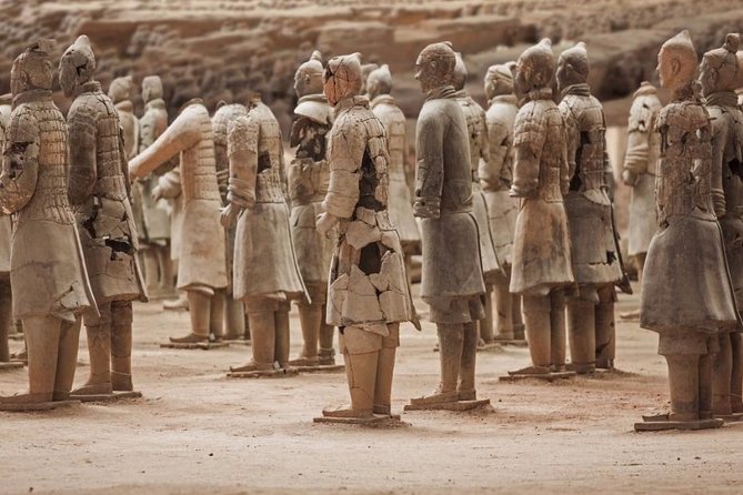 Private Xian Day Tour: Terracotta Warriors, Big Wild Goose Pagoda - Big Wild Goose Pagoda and the Tang Dynasty