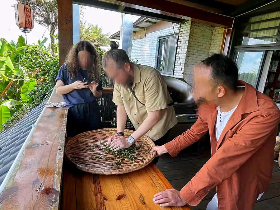 Puer Tea Picking and Tasting | 6 Hour Morning Trip - What makes this tea outing worth your morning
