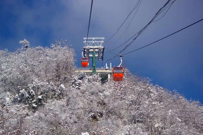 Qingdao Private Day Trip to Mutianyu Great Wall with Cable Car or Toboggan Ride - Cable car, chair lift, or toboggan