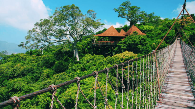 Sanya: Yalong Bay Tropical Forest Ticket and Tour Car - What kind of day is this in Sanya?