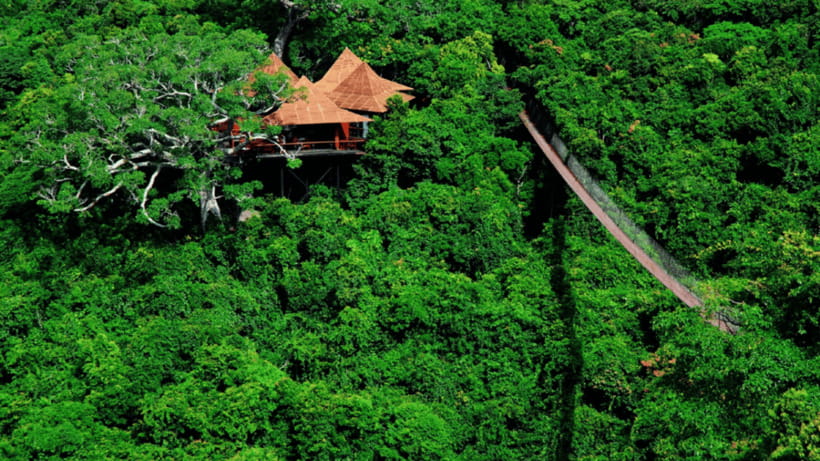 Sanya: Yalong Bay Tropical Forest Ticket and Tour Car - The viewpoints over Yalong Bay