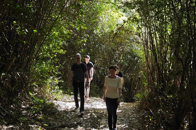 scooter and hiking trip in the rainforest - Starting at 10:00 am near Vanke Forest Park