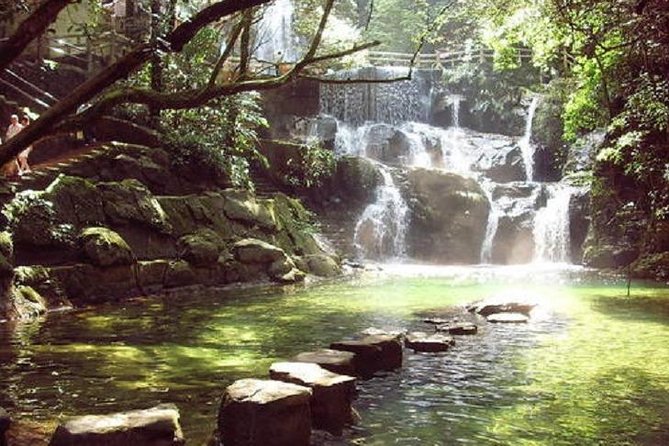 Seven Star Crag and Dinghu Mountain private day tour from Guangzhou - The $300 price: good value for groups, harder to justify alone