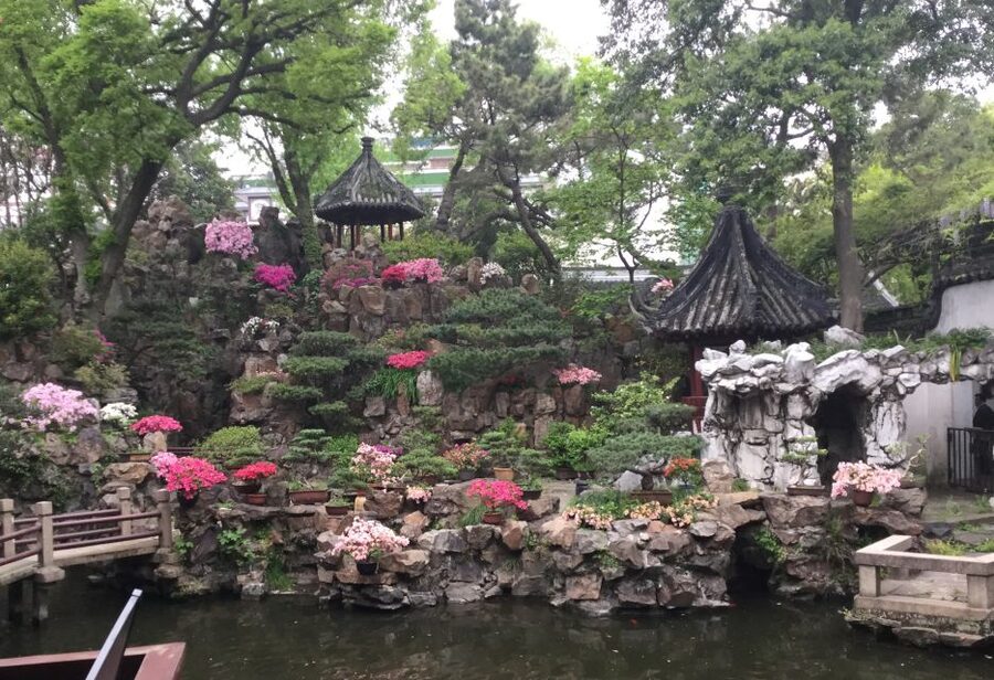 Shanghai: 4-Hour Guided City Highlights Tour - Why this short private tour works well
