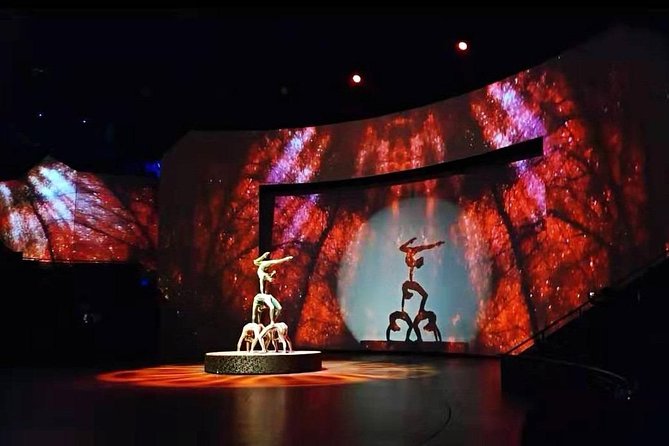 Shanghai ERA-Acrobatic Show Ticket with Private Transfer - Getting seated with help at the theater