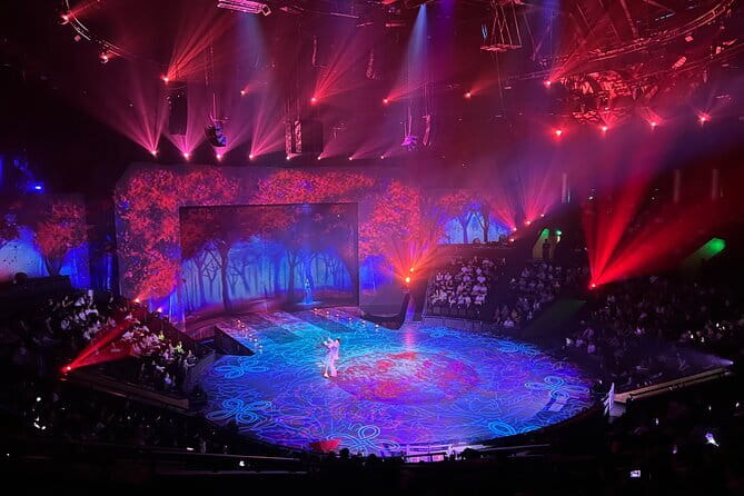 Shanghai Era Theatre Acrobatics Show Ticket - What the Shanghai ERA show is really offering