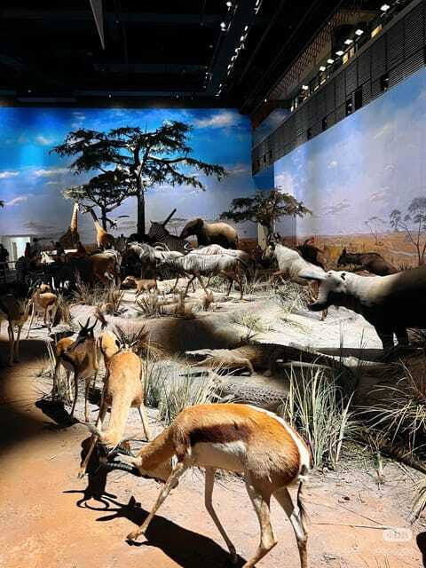 Shanghai: Natural Museum tickets with guide(optional) - Five theaters and a full day indoors