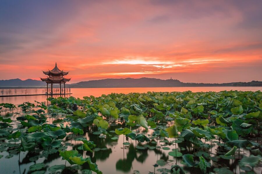 Shanghai: Private Guided Tour to Hangzhou by Bullet Train - Key points to know before booking