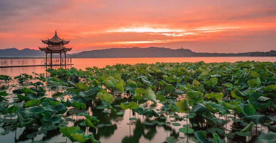 Shanghai: Private Guided Tour to Hangzhou by Bullet Train - Lingyin Temple and the art of slowing down