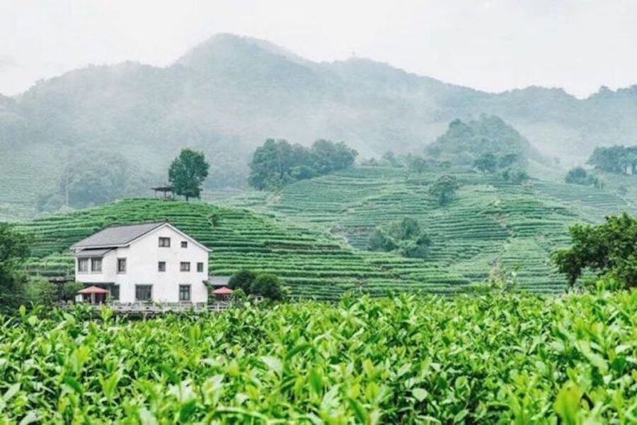 Shanghai: Private Guided Tour to Hangzhou by Bullet Train - The private car makes the schedule workable
