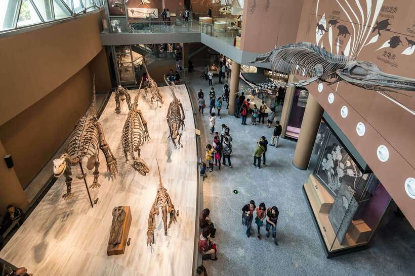 Shanghai: Private Tour of the Shanghai Museum - Bronze Gallery: where objects carried authority