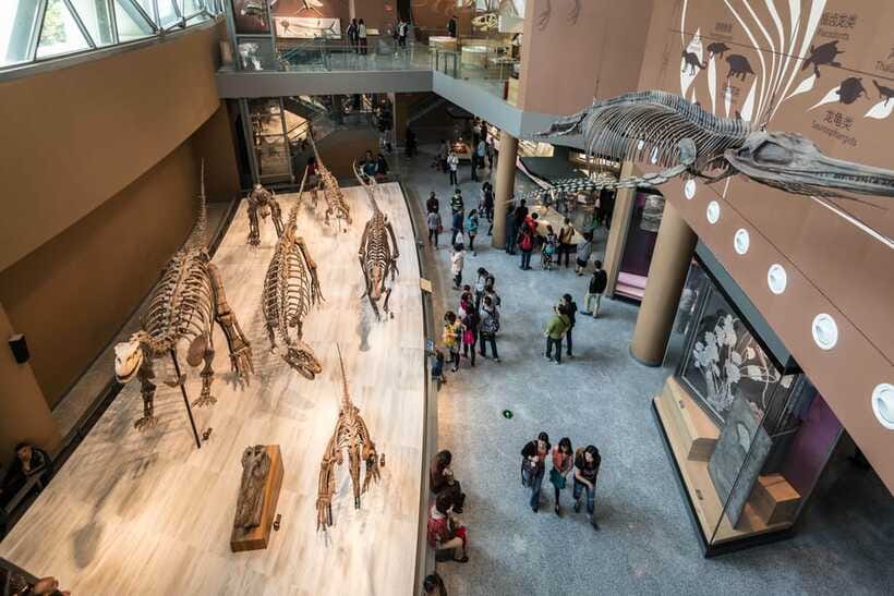Shanghai: Private Tour of the Shanghai Museum - Ceramics Gallery: understanding China’s porcelain tradition