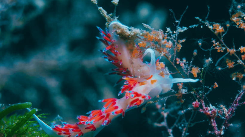 Shanghai: The Marine Wonders at Shanghai Ocean Aquarium - Is $38 good value?