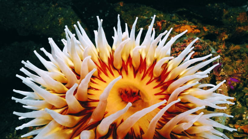 Shanghai: The Marine Wonders at Shanghai Ocean Aquarium - Booking details that deserve attention