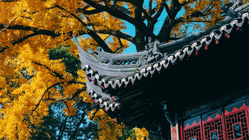 Shanghai: Yu Garden Admission Ticket - Who will enjoy this admission ticket most