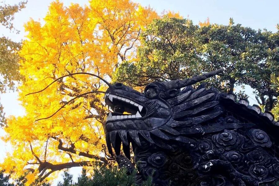 Shanghai: Yu Garden and City God Temple Walking Tour - Add the soup dumpling option for a fuller taste of Shanghai