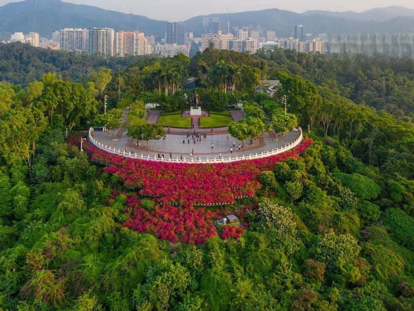 Shenzhen：8h City Walk & Future Experience Highlights Trip - Is $174 per person a fair price?