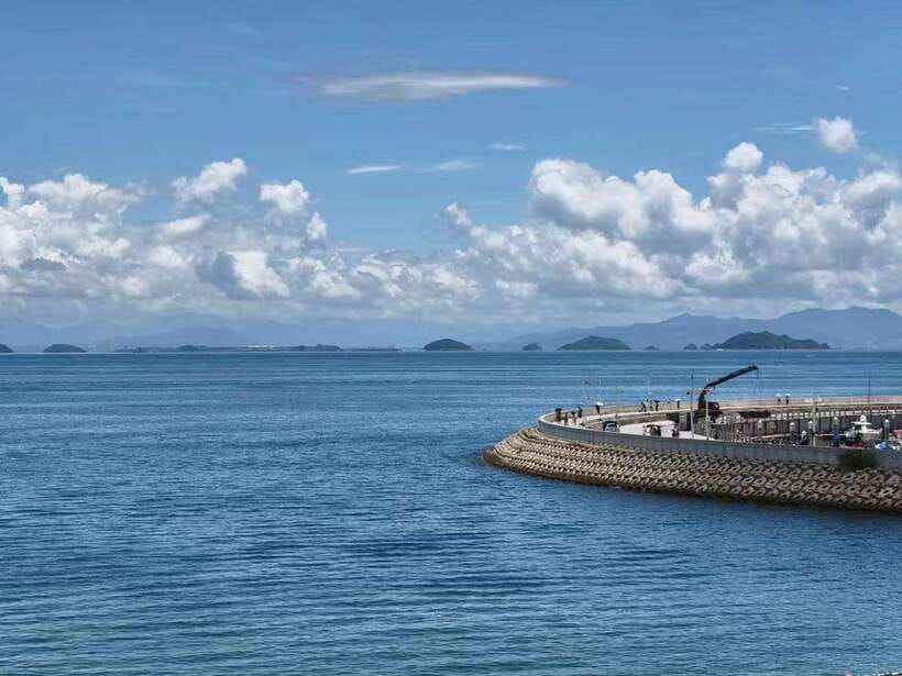 Shenzhen: Dapeng Peninsula Day Tour with Hotel Pickup - Yangmeikeng and the first taste of the coast
