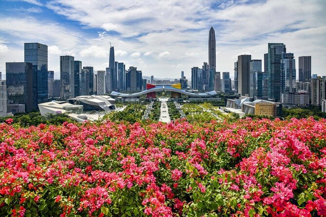 Shenzhen Private Day Tour with Car Service Tech+Culture+Shopping - Key Points Before You Book