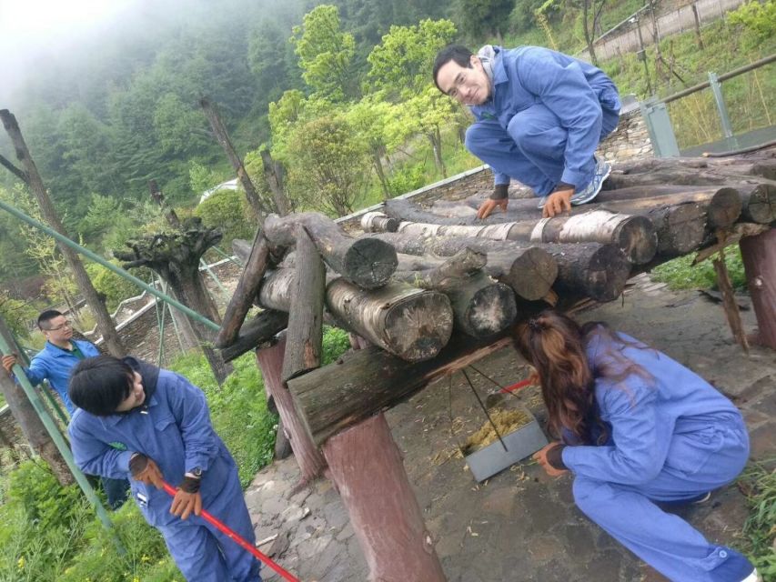 Sichuan: Big Panda Volunteer Day tour - What the $347 panda day actually includes