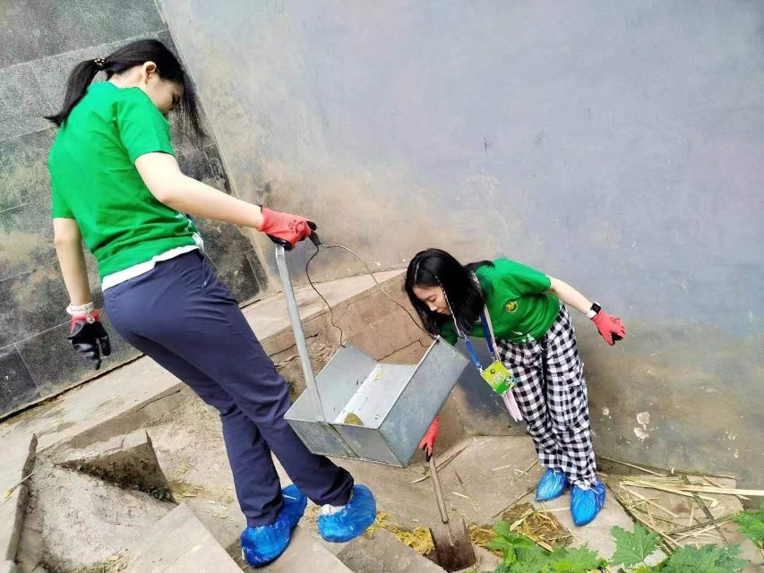 Sichuan: Big Panda Volunteer Day tour - Who will enjoy this most