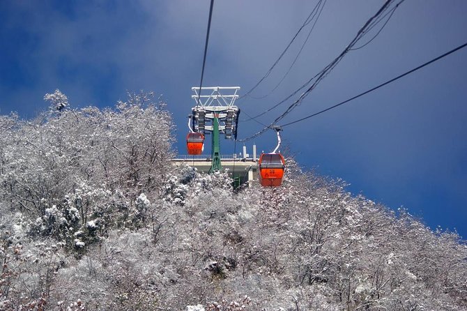 Small Group Mutianyu Great Wall and Ming Tombs Tour with Cable Car and Lunch - What the $176 price really covers