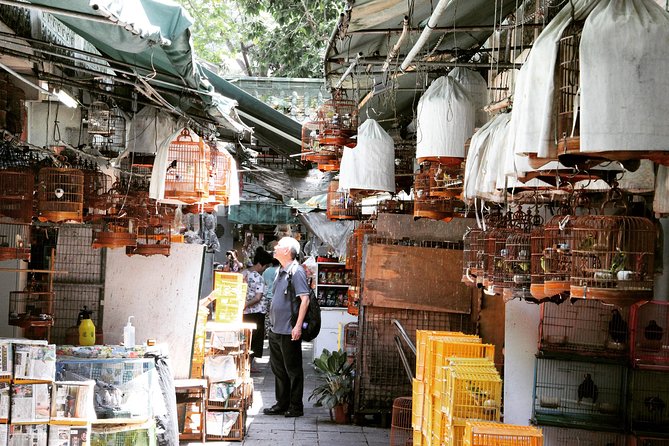 Small-Group Tour: Hong Kong Local Markets Hopper [PROMOTION] - Flower Market Road: 30 minutes among plants and good luck