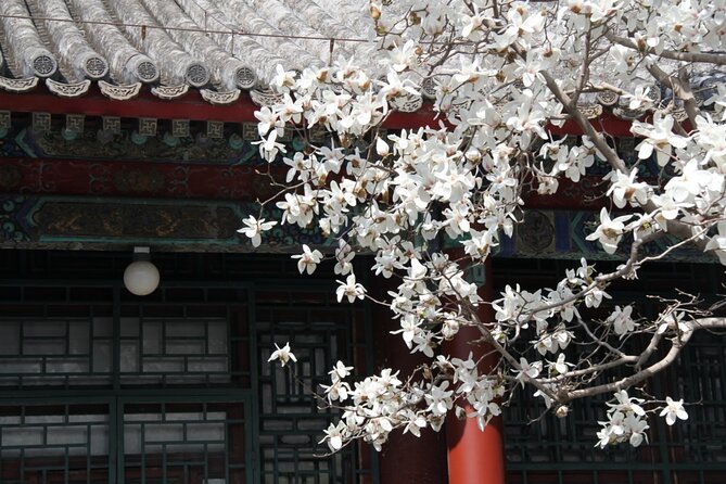 Summer Palace Ticket with optional Guided Tour - Choosing between the $8 ticket and guided option