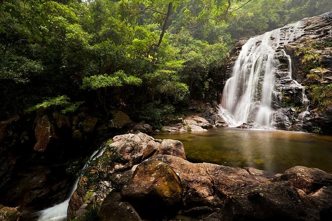 Tai Mo Shan Waterfall Adventure Hike - From Tai Wo Station to Hong Kong’s green side