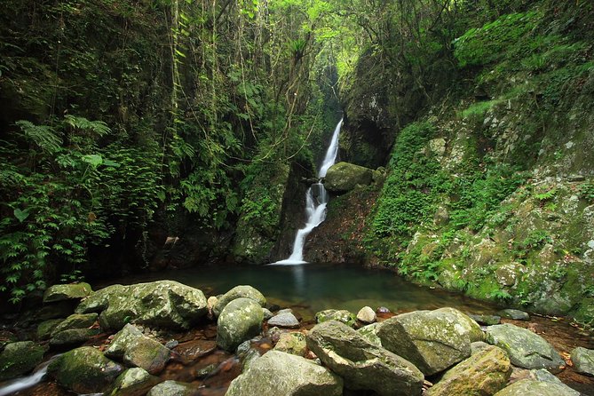 Tai Mo Shan Waterfall Adventure Hike - What makes the guides valuable
