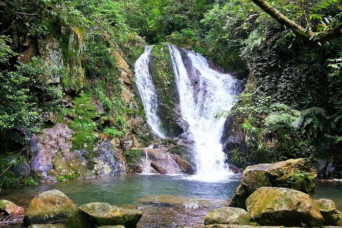 Tai Mo Shan Waterfall Adventure Hike - Who should book this hike?
