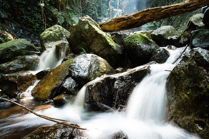 Tai Mo Shan Waterfall Adventure Hike - Rural villages and temples before the forest