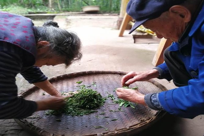 Tea Village in lost Town and Buddha 1 day tour - Who should book this experience