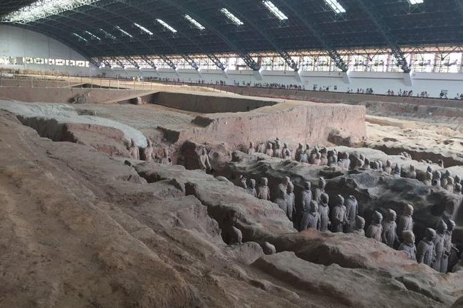 Terra cotta Army Museum Private Tour With English Guide Service - Price and What the $80 Really Covers