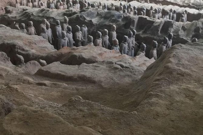 Terra cotta Army Museum Private Tour With English Guide Service - Timing, Cancellation, and Small Practical Matters
