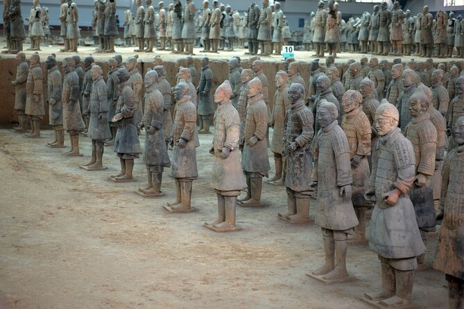 Terra-cotta Warriors Entrance Ticket with Optional Guided Service - Ticket only, shared group, or private guide?