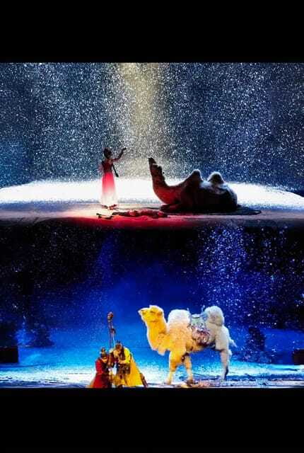 The Legend Of Camel Bell In Xi’An - Timing your visit in Xi’an