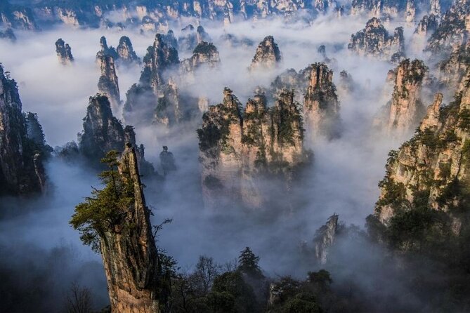 VIP Mini Group:Avatar Mountains & Tianmen Mountain & Glass Bridge - Is this a good fit for you?