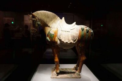 Xi’an Full Day Sightseeing Tour – Shaanxi History Museum, Big Wild Goose Pagoda, Ancient City Wall