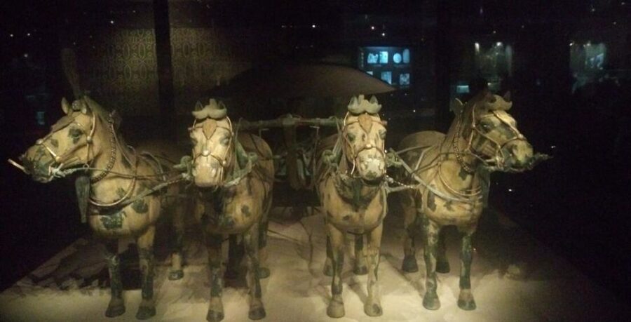 Xi'an: Half-Day Terracotta Warriors & Horses Museum Tour - Is $184 per person good value?