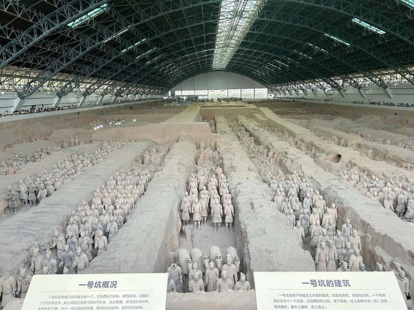 Xi'an: Morning Terracotta Army Tour with Local Family Lunch - Key points to know before booking