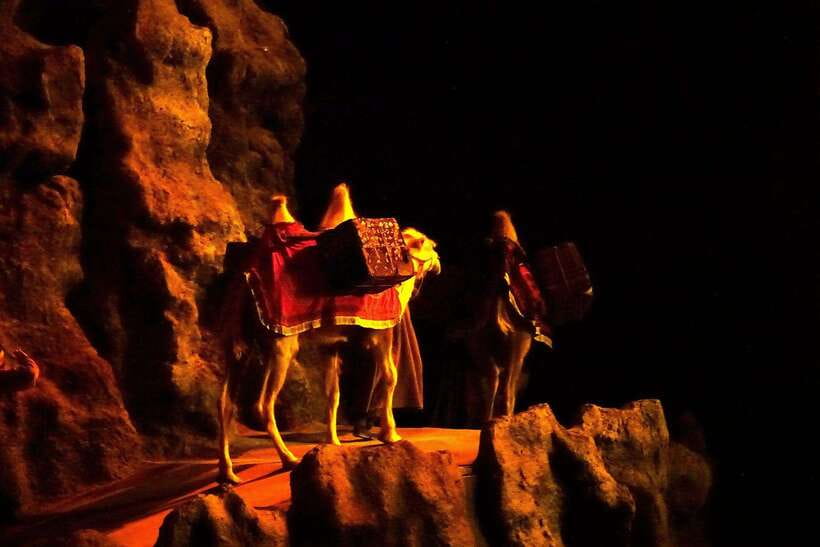 Xi'an Silk Road: Legend of Camel Bell Show Ticket w/Transfer - Real camels and wolves change the mood